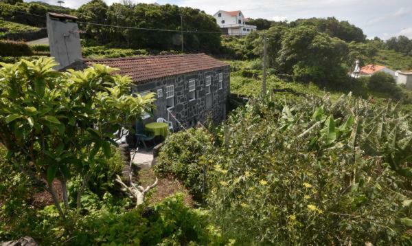 Adega Do Gato Hotell Calhau Eksteriør bilde