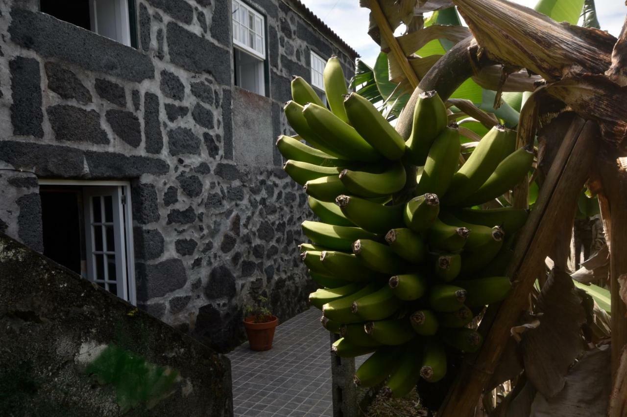 Adega Do Gato Hotell Calhau Eksteriør bilde